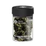 Baltic shamans shanti tropical cbd flowers