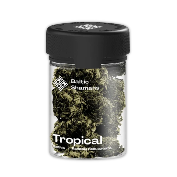Baltic shamans shanti tropical cbd flowers
